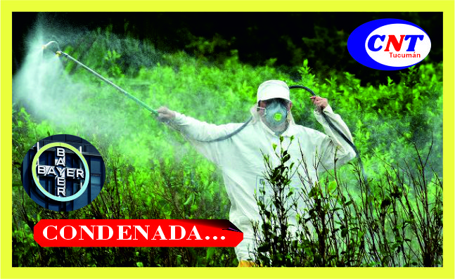 Imagen Noticia