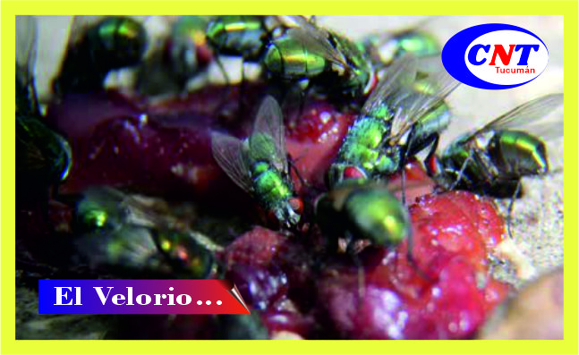 Imagen Noticia