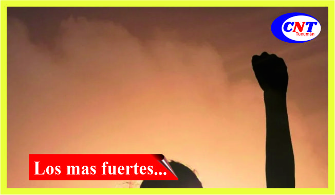 Imagen Noticia